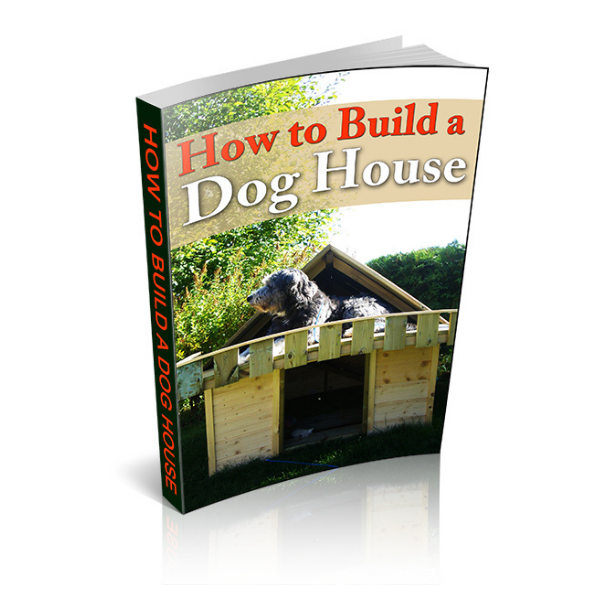 Dog House